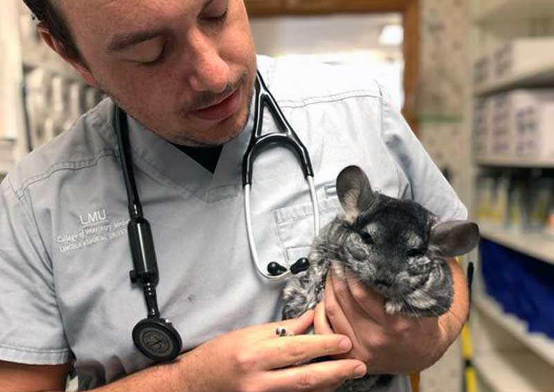 Carousel Slide 5: Allentown pocket pet veterinarians