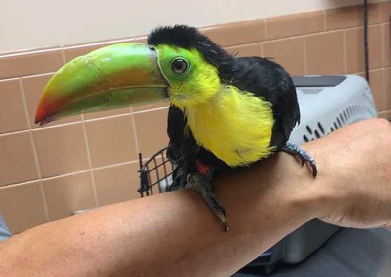 Carousel Slide 8: Allentown avian and exotic veterinarians