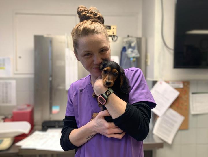 Preventive Dental Care