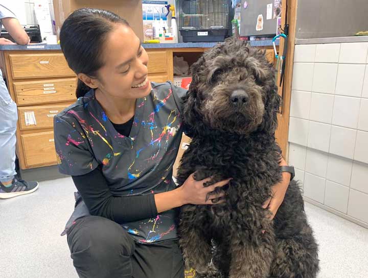 Preventive Care for Dogs