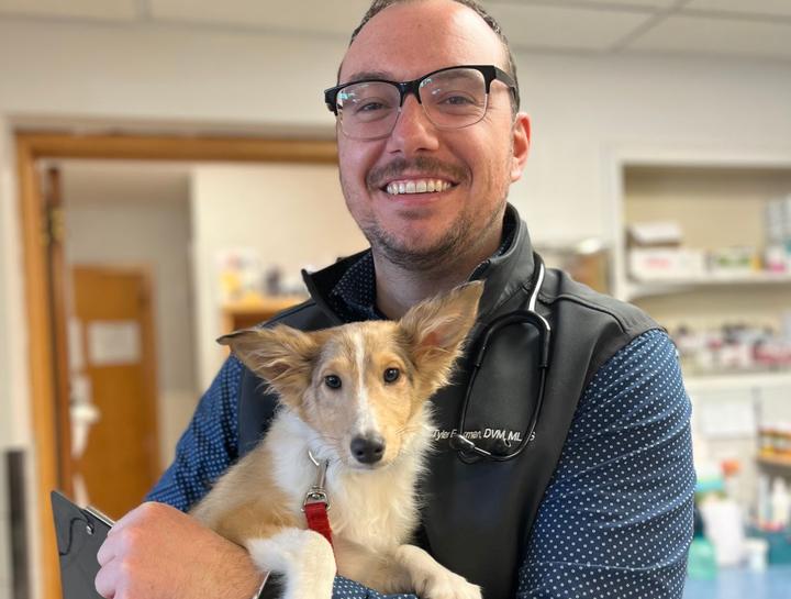 Pet Health Certificates